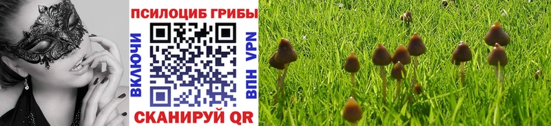 Псилоцибиновые грибы Cubensis  Сызрань 