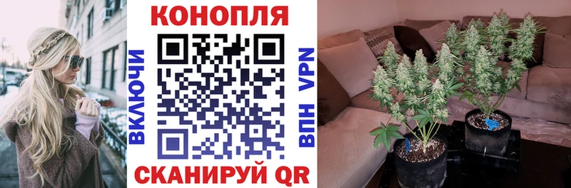 где найти наркотики  Сызрань  сайты даркнета как зайти  Конопля White Widow 
